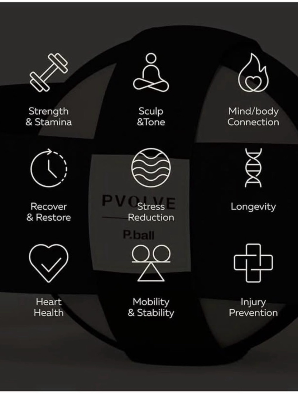 PVolve P.ball - Picture 3 of 4